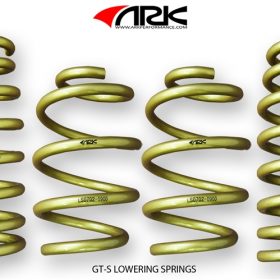 2010-ON Hyundai Genesis Coupe 2.0T & 3.8L ARK Lowering Spring / GT-S