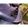 2010- 2014 Genesis Coupe BBM Carbon Fiber Lip Spoiler