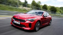 STINGER 2017+